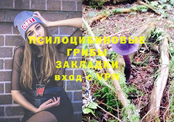 экстази Горнозаводск
